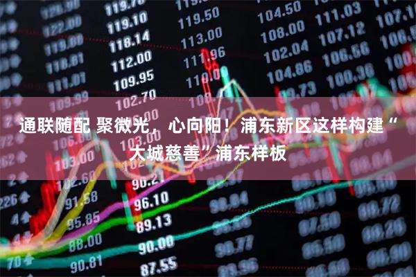 通联随配 聚微光，心向阳！浦东新区这样构建“大城慈善”浦东样板