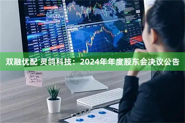 双融优配 灵鸽科技：2024年年度股东会决议公告
