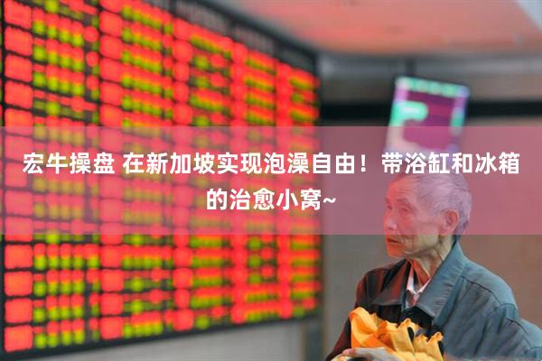 宏牛操盘 在新加坡实现泡澡自由！带浴缸和冰箱的治愈小窝~