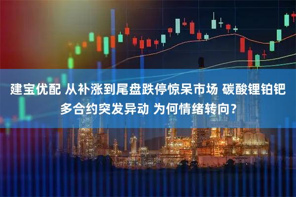 建宝优配 从补涨到尾盘跌停惊呆市场 碳酸锂铂钯多合约突发异动 为何情绪转向？