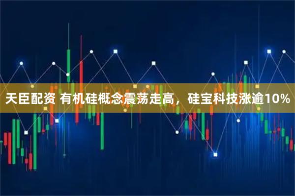 天臣配资 有机硅概念震荡走高，硅宝科技涨逾10%