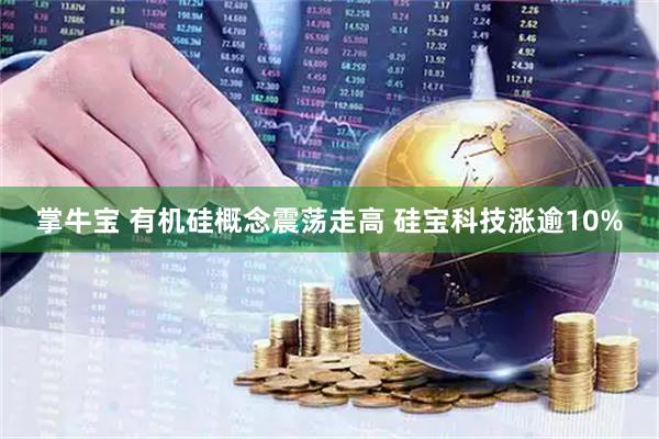 掌牛宝 有机硅概念震荡走高 硅宝科技涨逾10%