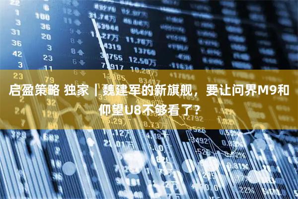启盈策略 独家｜魏建军的新旗舰，要让问界M9和仰望U8不够看了？